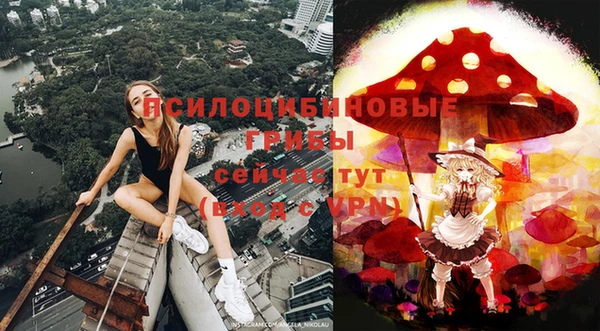 эйфоретик Нязепетровск