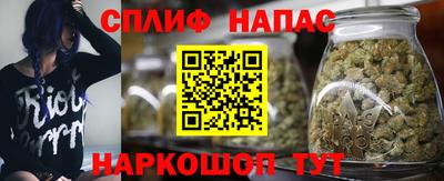 крисы Балахна