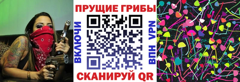 Псилоцибиновые грибы Cubensis  магазин продажи наркотиков  МЕГА зеркало  Вязьма 