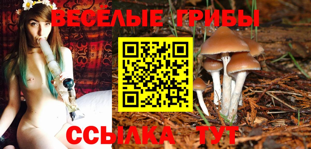 Псилоцибиновые грибы Magic Shrooms  Вход с VPN  Вязьма  Псилоцибиновые грибы мухоморы 